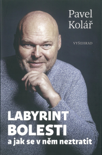 Labyrint bolesti a jak se v něm neztratit